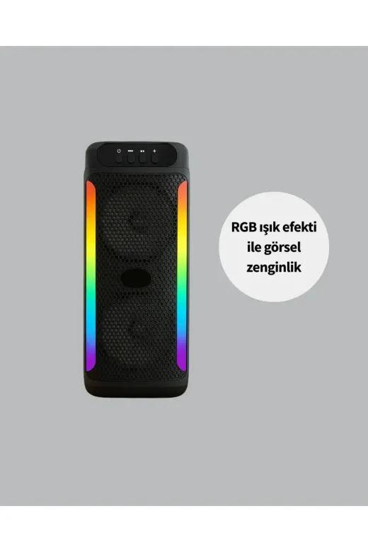 PG4261 Hoparlör
