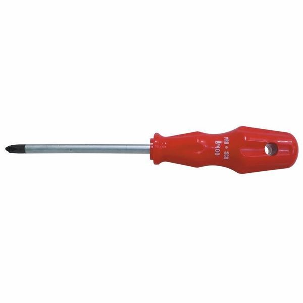 Pro-Scr 02573 Yıldız Uçlu Tornida 5X100 mm