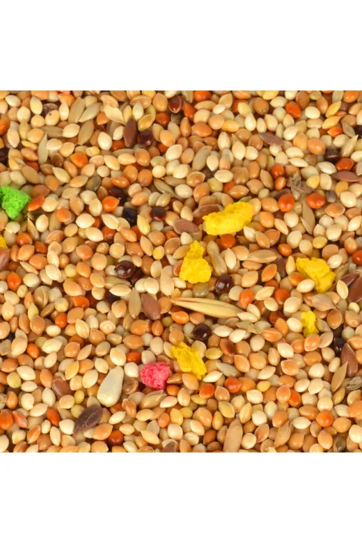 Quik MY.63078 Muhabbet Kuşu Yemi 400 Gram