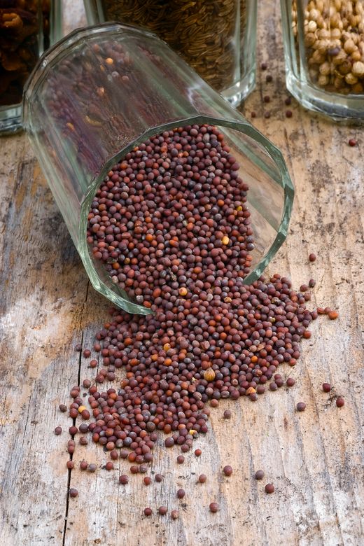 ROYAL BAHARAT RT-RYL-HMR14567 Siyah Hardal Tohumu Deluxe Seri Organik Lezzetli 300 Gr