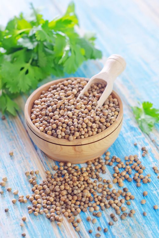 ROYAL BAHARAT RT-RYL-HMR14610 Kişniş Çekilmiş Toz Deluxe Seri Organik Lezzetli 250 Gr