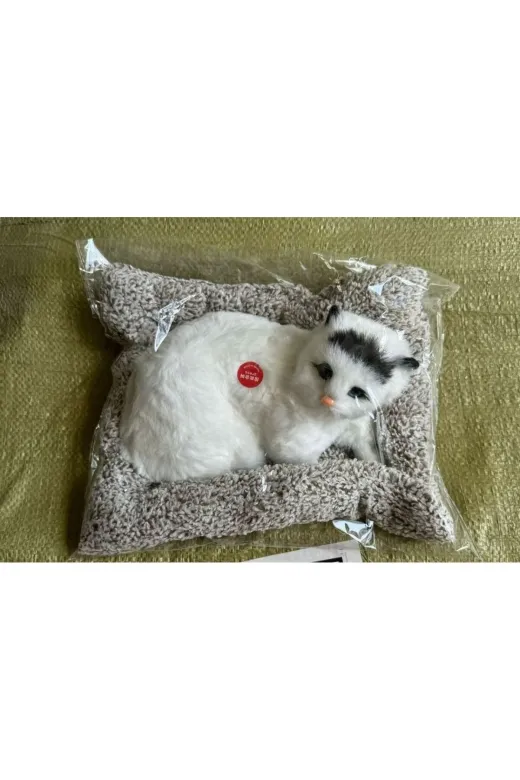 Royal Consept byt77 Peluş Yavru Kedi Oyuncak Minder Üstünde Uyuyan Kedi Sesli Miyavlayan Oyuncak Karışık Gönderilir