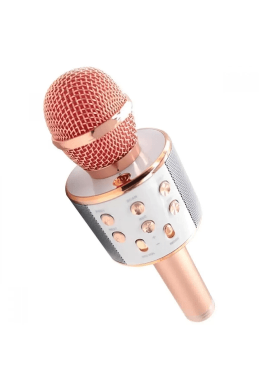 Royaleks Group RT-RYL-H-82279 Karaoke Mikrofon Ws-858 Royaleks-And01096