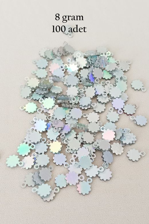 Royaleks RT-RYL-BN24100-19-8 Oya Abiye Bileklik Kolye Pleksi Metalik Plastik Pul Gümüş Renk 8 Gram 100 Adet - Bnc518
