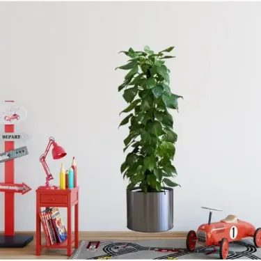 Saksılı Bitki Tasarımlı Yapışkanlı Sticker Resim 90*30 cm (4745)
