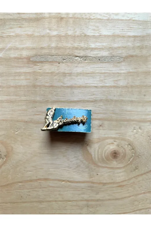 SANAT TACİRİ RTJ68KIERT Atam İzindeyiz Yazili Rozet Yaka Broşu