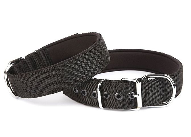 Seri Dokuma Köpek Boyun Tasması 5x60-70cm Siyah