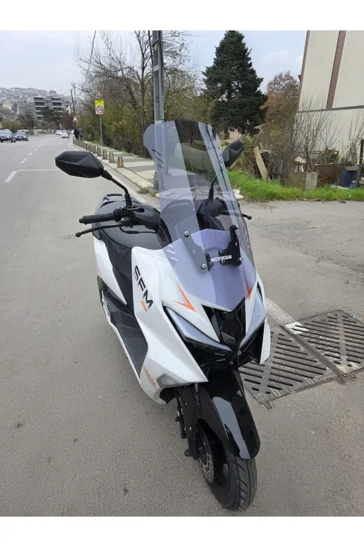 SFM Lahos Ön Cam 2024-2026 Model 65cm Füme Renkli 4mm