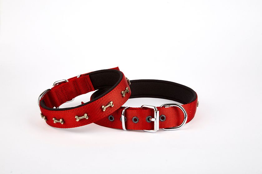Softlu Kemik Desenli Köpek Tasması 2 cm x 45 cm Kırmızı