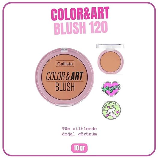 ST24090426 Callista Color Art Blush No:120 So Peachy Allık