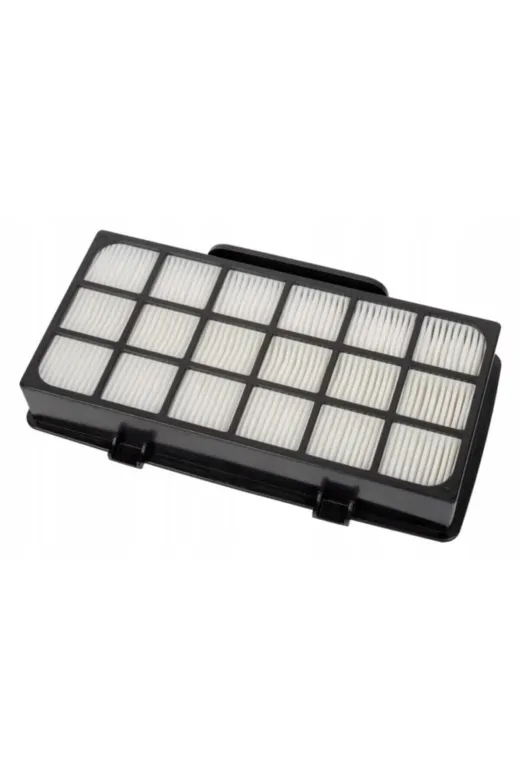 süpürgeevim süpürgeevim139 Ro 7676 Ea Silence Force Cyclonic 4A Filtre Seti