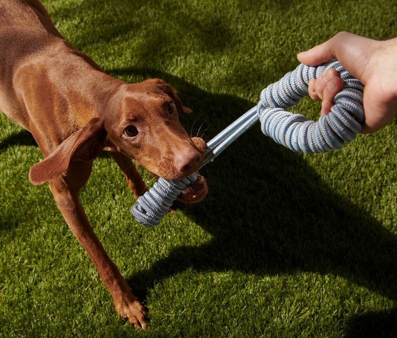 Tchibo 641630 Köpekler Için Halat Oyuncak