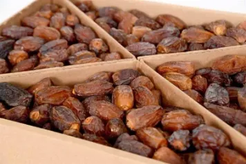 Toptan Medjoul Eko 5 kg