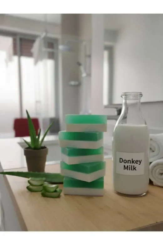 TrendMilano ALOVSBN Doğal Eşek Sütlü Aloe Veralı Sabun 120 Gr