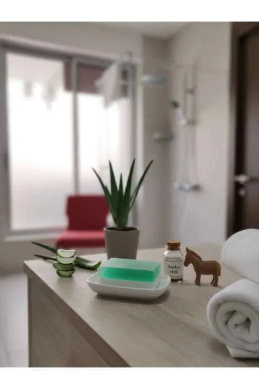 TrendMilano ALOVSBN Doğal Eşek Sütlü Aloe Veralı Sabun 120 Gr