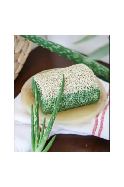 TrendMilano SC0001 El Yapımı Doğal Kabak Lifli Eşek Sütü Bal Aloe Vera Sabun 2'li Set