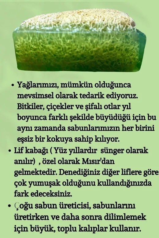 TrendMilano SC7776567 Doğal Kabak Lifli Aloe Vera Sabunu