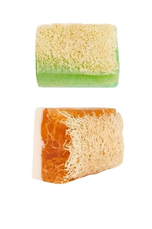 TrendMilano SC99658 El Yapımı Doğal Kabak Lifli Eşek Sütü Ballı& Aloe Vera Sabunu 2'li Set