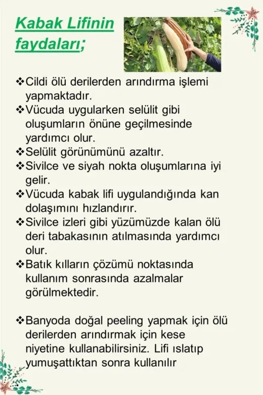 TrendMilano SC99658 El Yapımı Doğal Kabak Lifli Eşek Sütü Ballı& Aloe Vera Sabunu 2'li Set