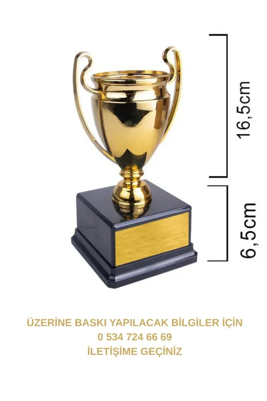 Tu&Se Candles Altın – Gümüş Şampiyon Ödül Kupası – 23 Cm