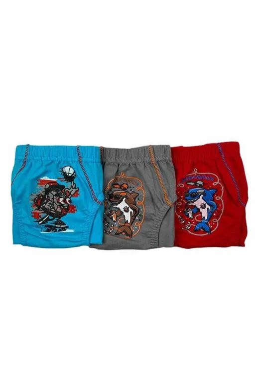Tutku KB6002 0138 Erkek Çocuk Renkli Slip Külot 6 Adet