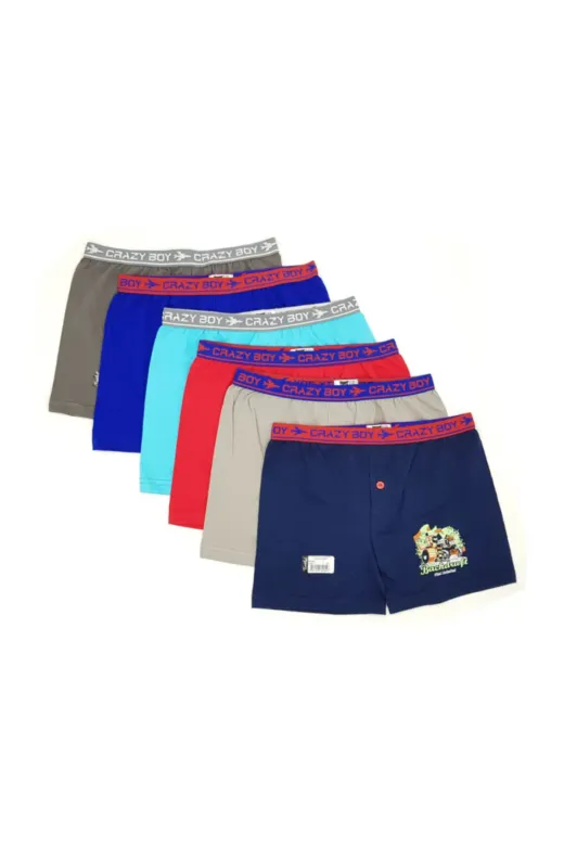 Tutku T2-1wd03 Erkek Çocuk Mavi Desenli 12'li Boxer