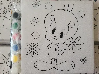 TWEETY 20X20 TUVAL BOYAMA SETİ