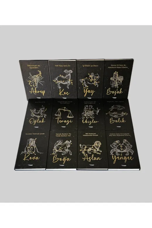 Twins Stars 5687343987 Kova Burcu Burç Defter 14*20 Sert Kapak Çizgili Kabartmalı Defter