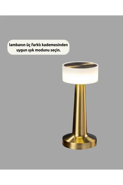 UCUZTEKNO TYC33A8E8F41D21092A041302 Trendlia Kablosuz Dokunmatik Masa Lambası – Şık Modern Metal Gövde, Usb Şarjlı