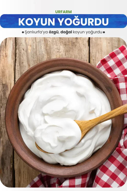 URFARM KOYUNYOGURDU2KG Koyun Yoğurdu 2 Kg. | Saf Ve Taze Yoğurt