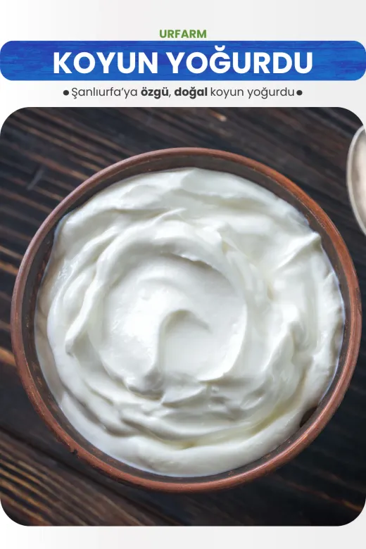 URFARM KOYUNYOGURDU2KG Koyun Yoğurdu 2 Kg. | Saf Ve Taze Yoğurt