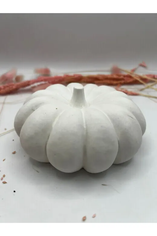 WAMMOLDS büyükyassıkabaksk Büyük Yassı Kabak Silikon Kalıp