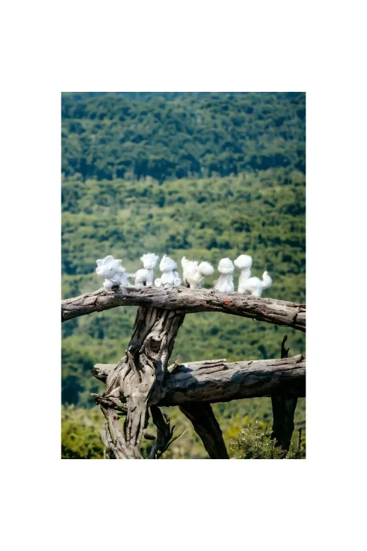 WAMMOLDS sevimlidino1sk Sevimli Dino 1 Numara Stegosaurus Silikon Kalıp
