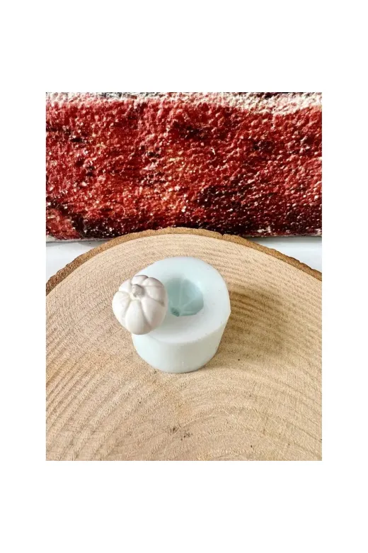 WAMMOLDS TYCRXUIN0N170531230557396 Dekoratif Kabak Saksı Süsü Silikon Kalıp