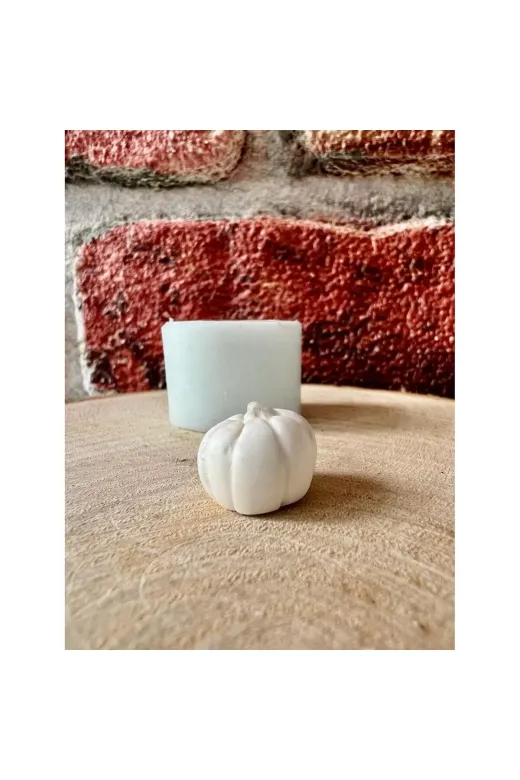 WAMMOLDS TYCRXUIN0N170531230557396 Dekoratif Kabak Saksı Süsü Silikon Kalıp
