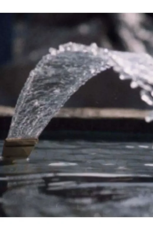 WATERSHUT WYLPZ Süs Havuzu Yelpaze Fiskiye