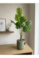 YASİMA Yapay Deve Tabanı Ağacı 55 Cm Ev İş Yeri Dekorasyon Önerisi