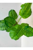 YASİMA Yapay Salon Çiçeği Difenbahya 12 Dallı 52 Cm -difenbahya
