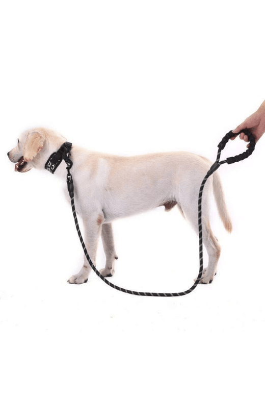 YNT İthalat AK-A685 Köpekler İçin Gezdirme Tasması Reflektörlü 130 Cm Halat Orta Ve Büyük Boy Köpekler İçin Siyah