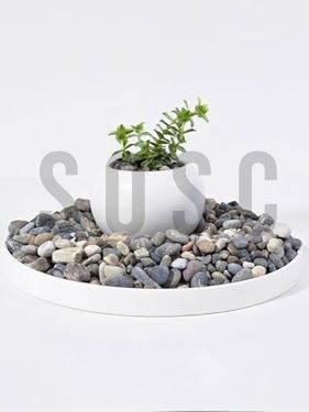 04/04 Home 57855210124486780184975 Doğal Nazilli Dere Çakıl Taşı, Tamburlanmış Dekoratif Taş, 1-2 Cm, 3 Kg, Saksı Dibi, Akvaryum Ve Bahçe Düzenleme İçin
