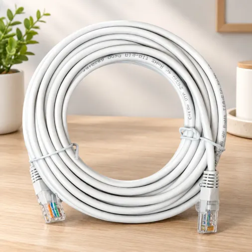 10 Metre Ethernet Kablosu