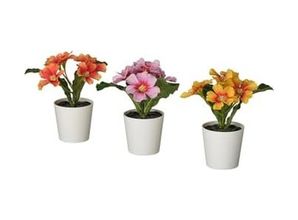 1001 Fidan 57855210125099080184975 Fejka Saksılı Yapay Bitki, Karışık Renkler, 6 Cm, Çuha Çiçeği, İç-Dış Mekan 20Beyazcipso