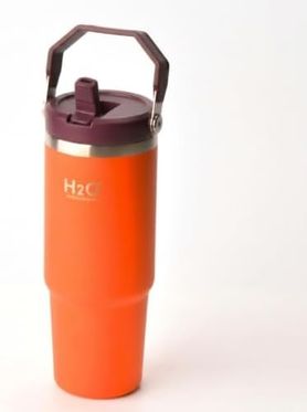 1001Hediye 57855210125120180184975 Paslanmaz Çelik Termos Matara - 900 Ml 1 Litre Kapasiteli, Pipetli Ve Emzikli Çelik Suluk 4 Renk Seçeneği Turuncu Açık Beyaz