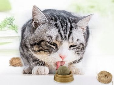 117207483 Kedi Nanesi Catnip Oyun Topu Diğer