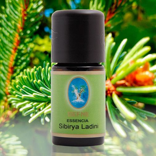 1436971 Defne Nuka Essencia Sibirya Ladini Yağı 10 Ml