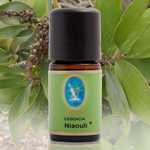 2660307 Defne Nuka Essencia Niaouli Yağı 3 X 10 Ml