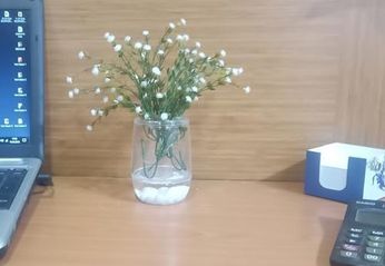 57858324442633699283959 Vazo Dahil, Vazoda Çiçek, Beyaz Yapay Çiçek, Dekoratif Beyaz İncili 8X8X16Cm Diğer