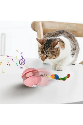 AboutThePerfect 992441653 Renkli Hareketli Kedi Topu Oyuncak, Taşıma Çantası, Evcil Hayvan Ürünü
