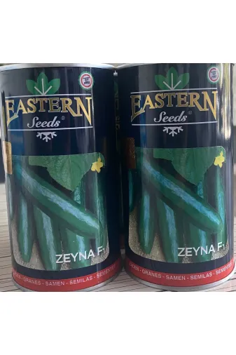 AKGEN TARIM AKG24THM Zeyna F1 Eastern Seeds Hasel Hiyar Tohumu(Hibrit Hiyar)-2500 Adetli