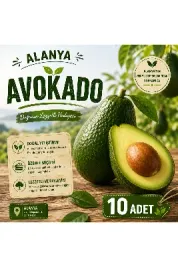 Alanya Avokado